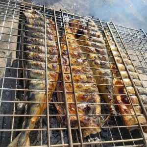 Скумбрія на мангалі